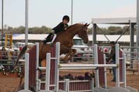 1102SAS_0686