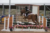 1102SAS_0687