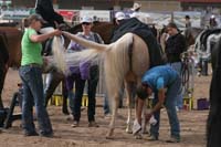 1102SAS_0691