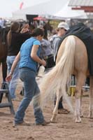 1102SAS_0692