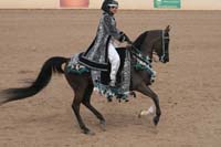 1102SAS_0699