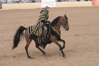 1102SAS_0701