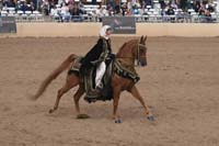 1102SAS_0702