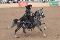1102SAS_0706