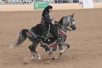 1102SAS_0707
