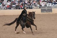1102SAS_0708