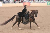 1102SAS_0710