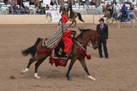 1102SAS_0715