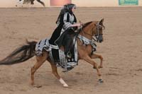 1102SAS_0718