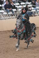 1102SAS_0729