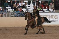 1102SAS_0731