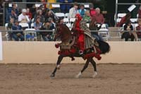 1102SAS_0732