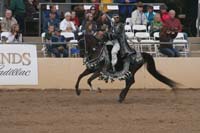 1102SAS_0733