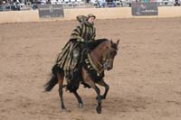 1102SAS_0735