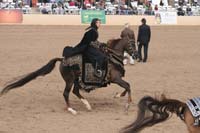 1102SAS_0736