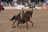 1102SAS_0739