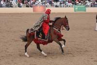 1102SAS_0741