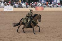 1102SAS_0742