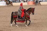 1102SAS_0747