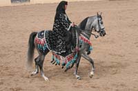 1102SAS_0749