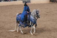 1102SAS_0750