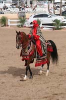 1102SAS_0751