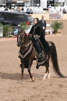 1102SAS_0752