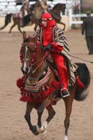 1102SAS_0764