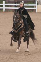 1102SAS_0771