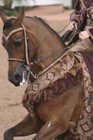 1102SAS_0776