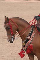 1102SAS_0777