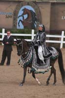 1102SAS_0778
