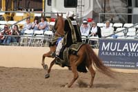 1102SAS_0784