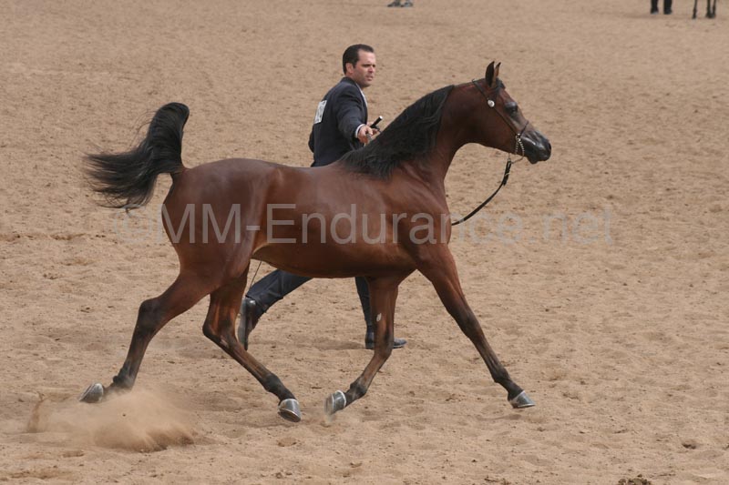 1102SAS_0900