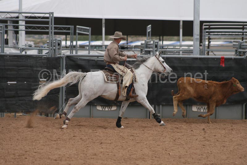 1102SAS_0907