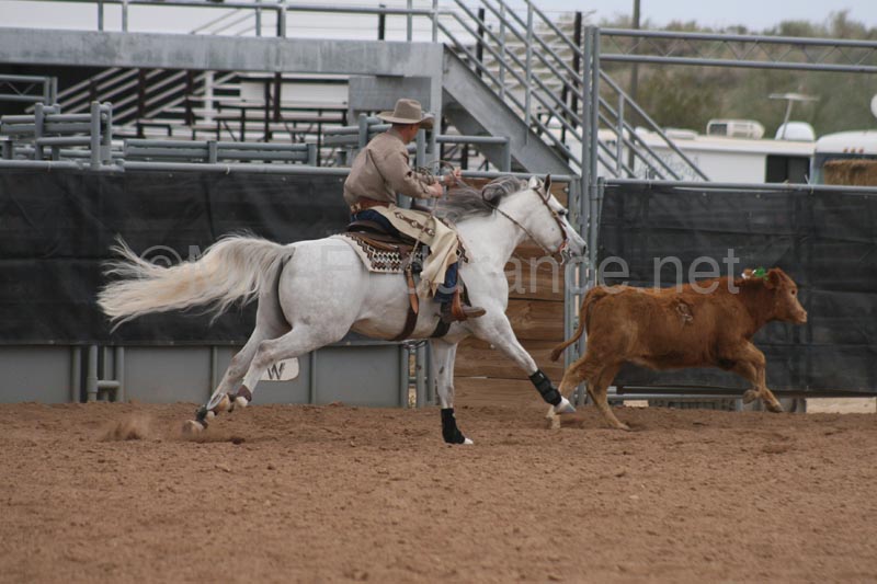 1102SAS_0909