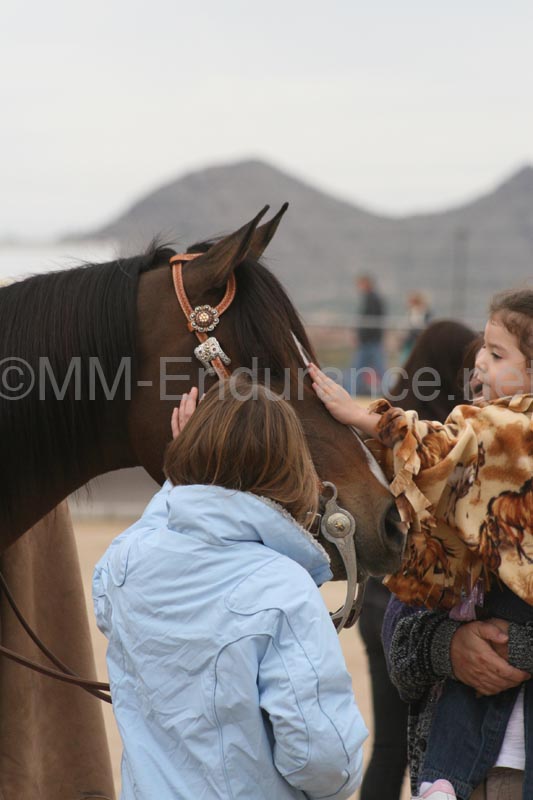 1102SAS_0920