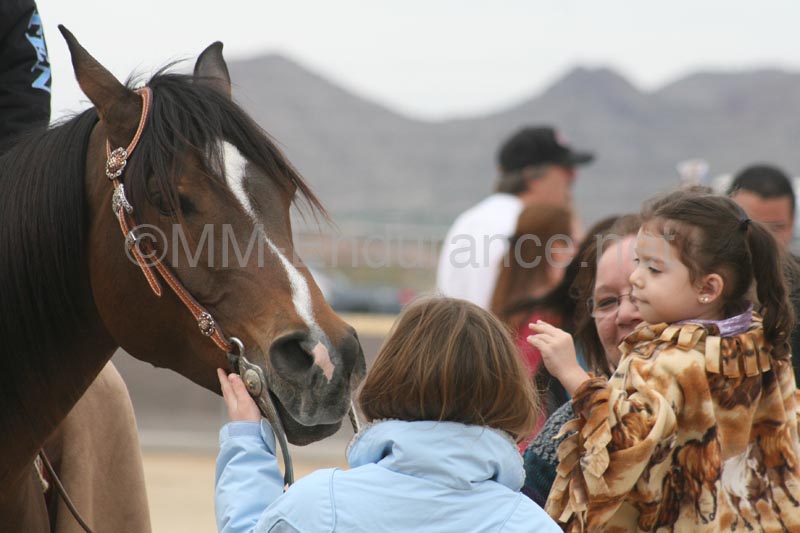 1102SAS_0921