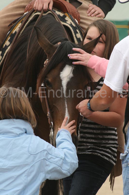 1102SAS_0925