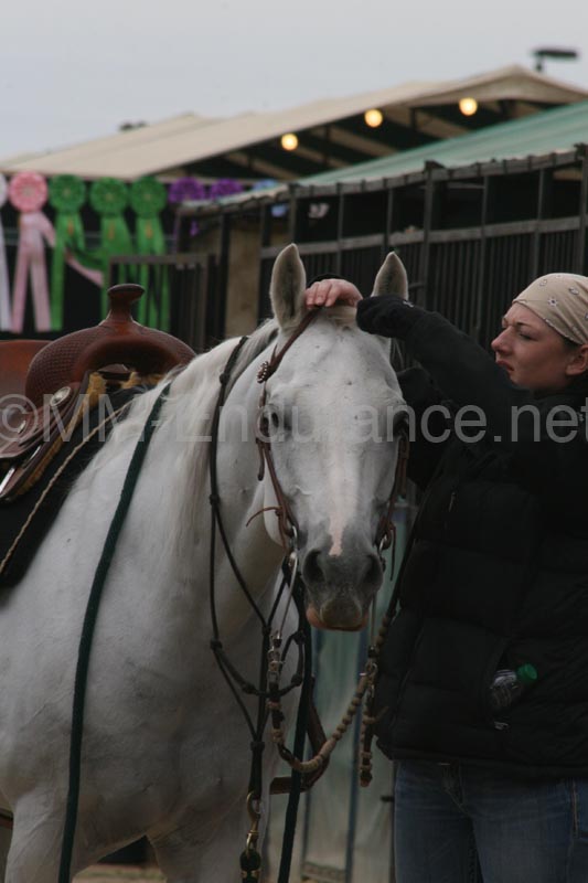 1102SAS_0934