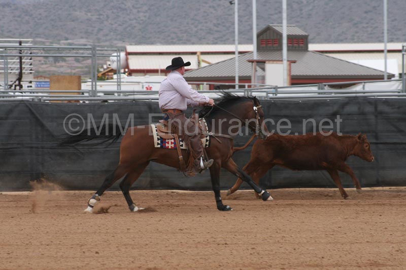 1102SAS_0936