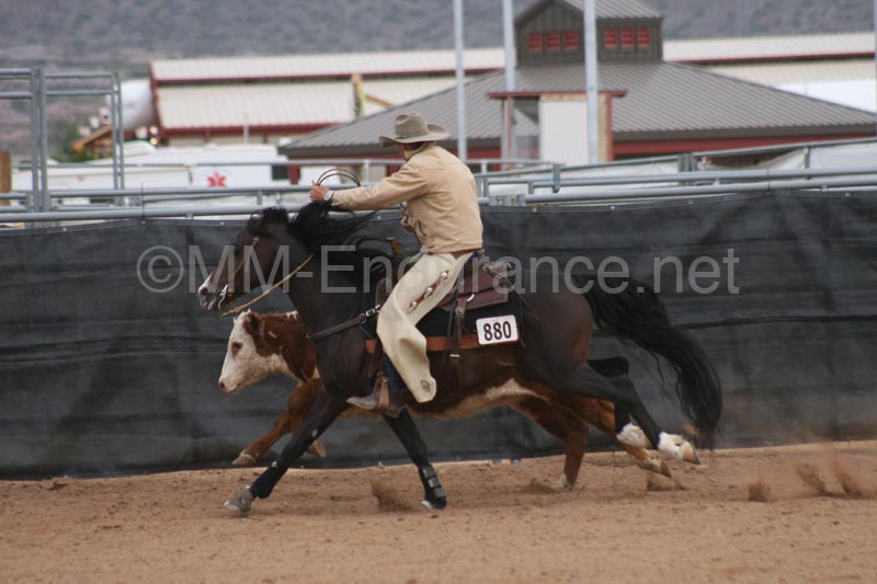 1102SAS_0950