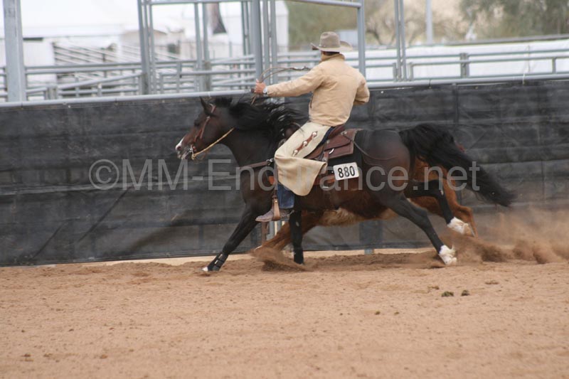 1102SAS_0951
