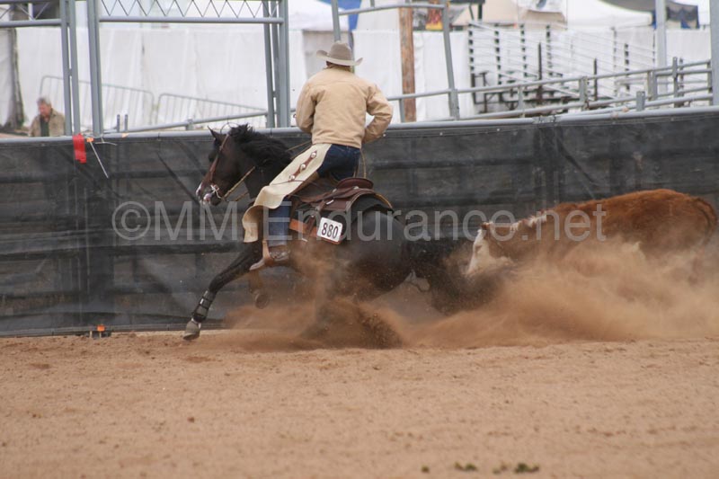 1102SAS_0952