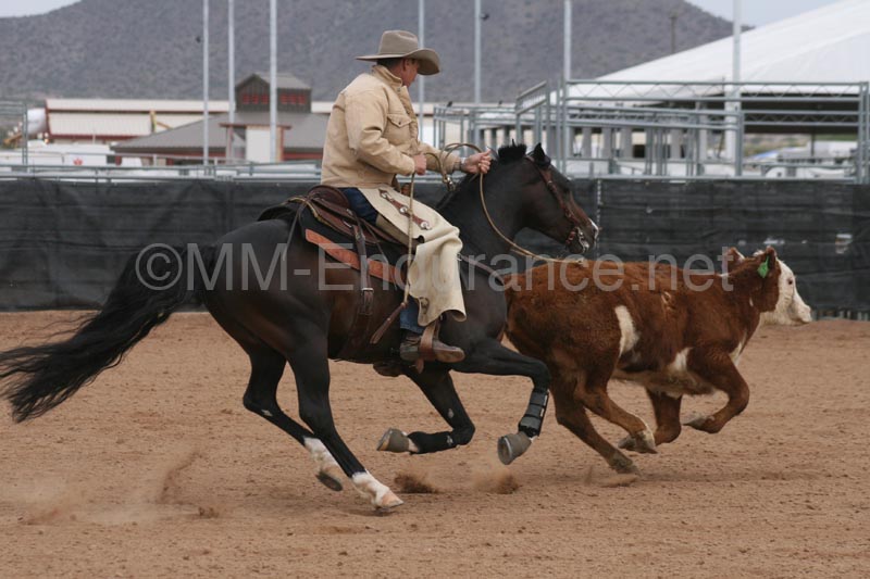 1102SAS_0956