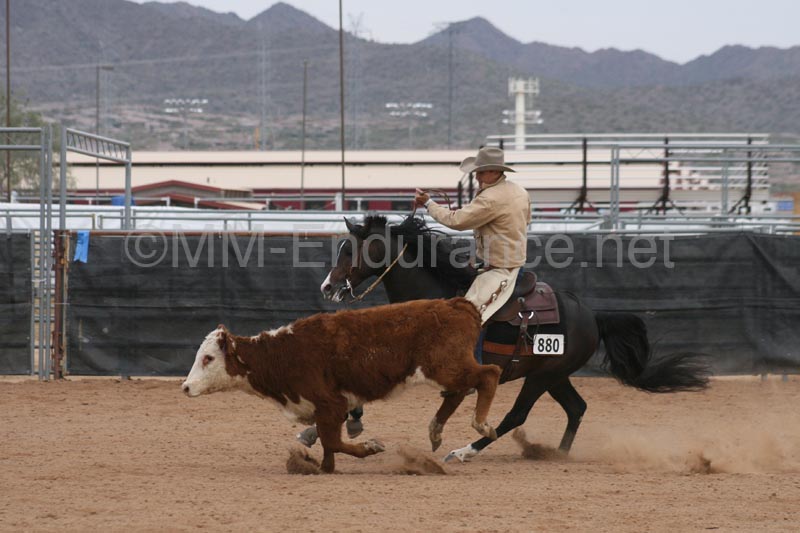 1102SAS_0957