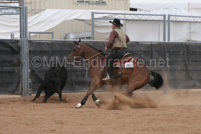 1102SAS_0961