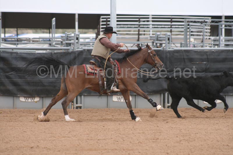 1102SAS_0962