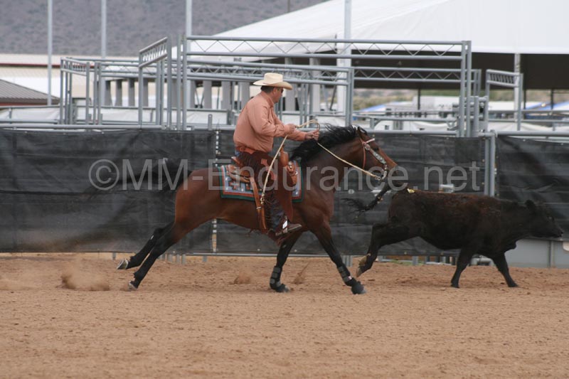 1102SAS_0965