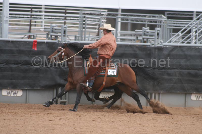 1102SAS_0966